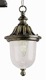 Outdoor 18.5" Hanging Lantern Finish: Black