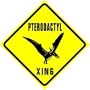 PTERODACTYL CROSSING sign * street dinosaurs