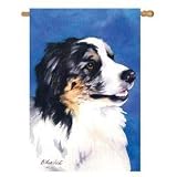 Australian Shepherd Banner