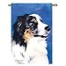 Australian Shepherd Banner