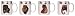 Artistically designed dinnerware Savannah motif mugs 12 oz. Set/4