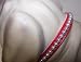 Kitchen & Housewares : Little Pearl Vinyl Dog Collar 14in Red 33P