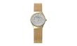 Skagen Women's 233XSGG Stainless Steel Watch