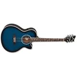 ESP LTD Xtone AC-5E - See Thru Blue Sunburst 6-String Acoustic-Electric Guitar