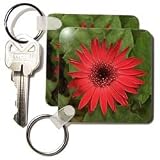 Flowers - Red Gerber - Key Chains