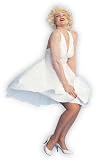 Hollywood Starlet Dress Costume - Adult Std.