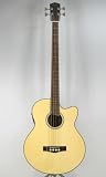 Fender Acoustics GB-41SCE NA
