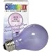 Light Bulb Frosted Full Spectrum (60 Watt) 1 Count