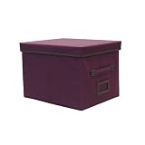 File Box, Plum