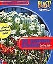 Burpee 3D Garden Designer 3.0 (Jewel Case)