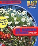 Burpee 3D Garden Designer 3.0 (Jewel Case)