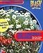Software : Burpee 3D Garden Designer 3.0 (Jewel Case)