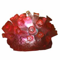 Buy Illuminated Sun Coral – Medium – 4 12 in. Diameter x 3 in. High