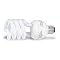 Care And Feeding Of Your CFL Bulb