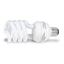 Globe 48426 23-Watt Mini Compact Fluorescent Spiral Bulb (100-Watt Incandescent Equivalent), Cool White, 4-Pack