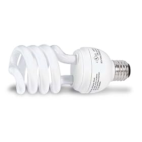 Globe 48426 23-Watt Mini Compact Fluorescent Spiral Bulb (100-Watt Incandescent Equivalent), Cool White, 4-Pack