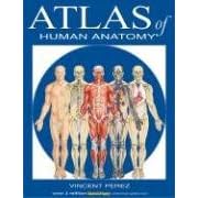 Atlas of Human Anatomy (Quickstudy Books) by Vincent Perez