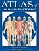 Atlas of Human Anatomy (Quickstudy Books) at Amazon: 312MFR6AK3L._SL75_