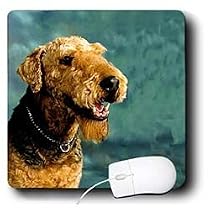 Dogs Airedale - Airedale Terrier - Mouse Pads