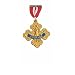 Wizard of Oz tm Badge of Courage - Metal