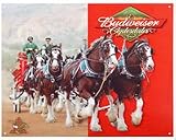 Desperate Enterprises Budweiser Clydesdales Collectible Metal Sign