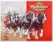 Desperate Enterprises Budweiser Clydesdales Collectible Metal Sign