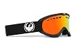 Dragon DXS Goggles 2012