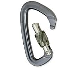 Black Diamond Positron Screwgate Carabiner