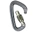 Black Diamond Positron Screwgate Carabiner