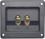 Gold Speaker Terminal Rectangle