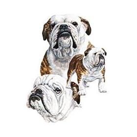 English Bulldog Womens T-Shirt Dress