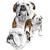 English Bulldog Adult T-Shirt