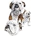 English Bulldog Adult T-Shirt