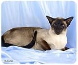 Siamese Cat Mousepad