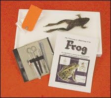 Frog-In-A-Box