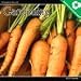 Gardening 2009 Calendar