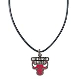 Chicago Bulls Official Logo 18