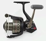 Penn Sargus SG4000 Saltwater Fishing Spinning Reel New