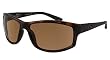 GARGOYLES PROWL Sunglasses- All Colors