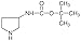 TCI America: 3-(tert-Butoxycarbonylamino)pyrrolidine, B1358-5G, >98.0% (GC,T)
