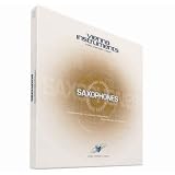 CRYPTON ソフト音源 VI SAXOPHONES / STANDARD Sax