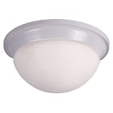 Buy light bulbs for Cheap light bulbs Ceiling Light Fixture With Opal Glass White light bulbs