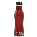 EcoUsable Ech2o 25 oz Stainless Steel Filtered Bottle - Metallic Red