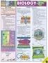 Biology (Quickstudy: Academic)
