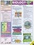 Biology (Quickstudy Reference Guides - Academic)