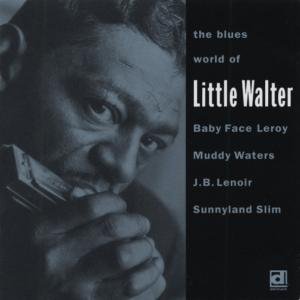 The Blues World Of Little Walter