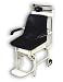 Detecto 475 Mechanical Chair Scale, 400 lb Capacity x 1/4 lb Increment (Made in the U...