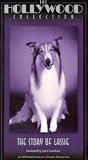 Lassie: Story of Lassie [VHS] [Import]