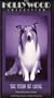Hollywood Collection - Story of Lassie [VHS]