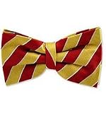 100% Silk Self-tie Bow Tie - Garnet & Gold - FSU Colors